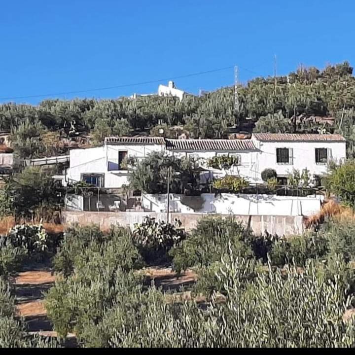 Cortijo El Cerro Appartement Alcaudete Buitenkant foto